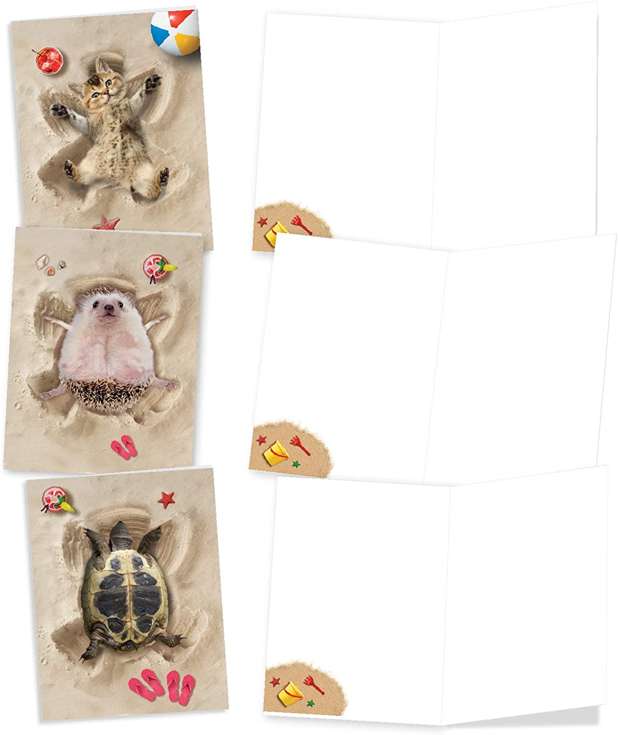 The Best Card Company - 10 Adorable Note Cards Blank (4 x 5.12 Inch) - Wildlife and Animal Cards, Assorted Boxed Kids Set - Sand Angels AM6844OCB-B1x10 - Image 3